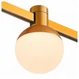 Магнитный трековый светильник FARM Золотистый LED 1*5W 4000K 89Lm Ra90 120 IP20 D75xH1 FARM