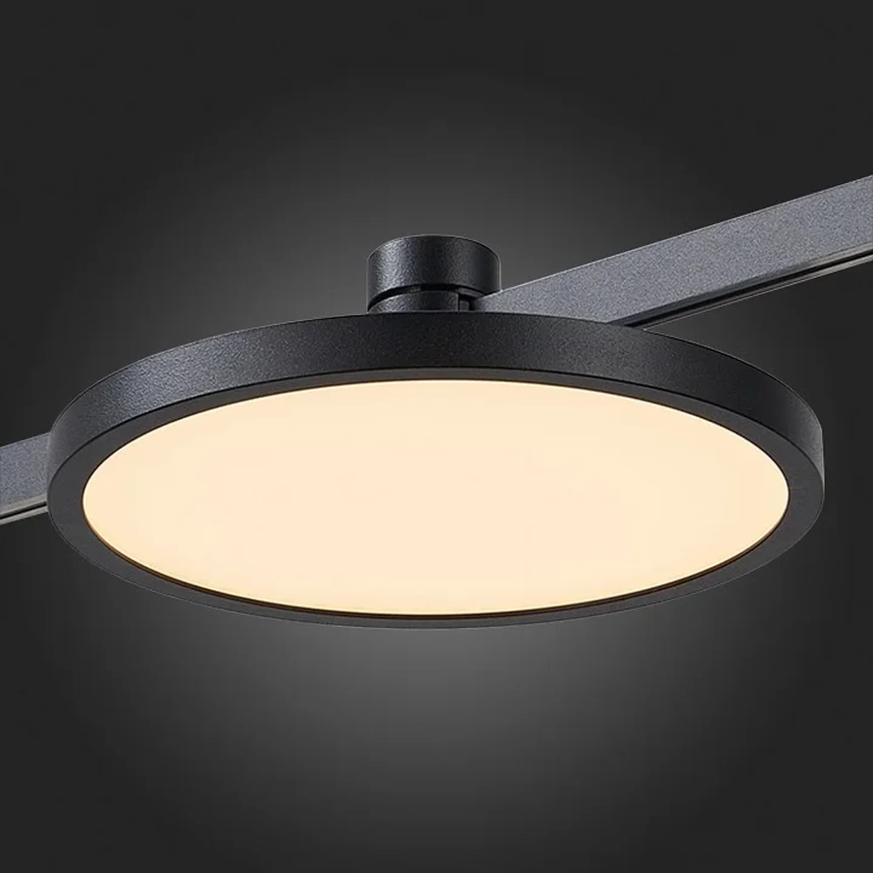 Магнитный трековый светильник FARM Черный LED 1*10W 3000K 500Lm Ra90 120 IP20 D168xH54 24V