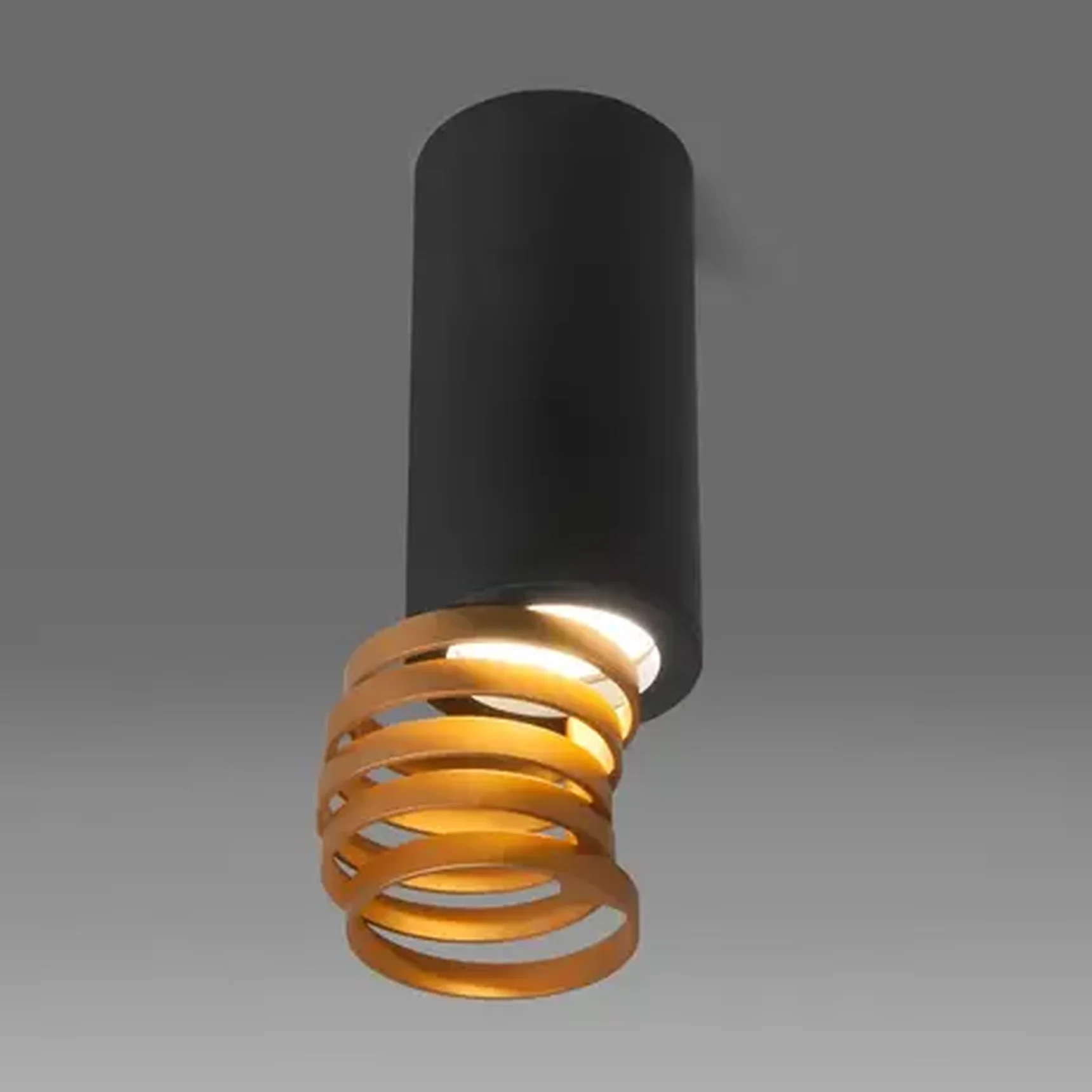 Потолочный светильник Elektrostandard DLN102 GU10 черный/золото 4690389148774