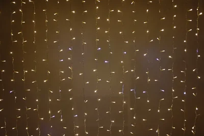 LED-PL-1920-240V-2*1.5M-WW/С-F(CW) (белые теплые светодиоды/прозр. пр), FLASH холодный белый 2023