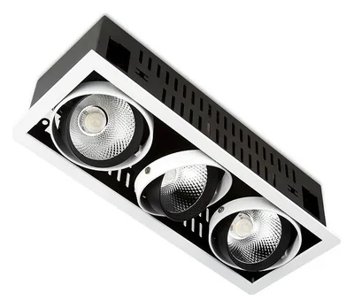 Карданный встраиваемый светодиодный светильник T813 BK/CH 3*12W 4200K
