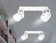 Накладной поворотный светильник TA104 WH белый GU10 260*130*D60