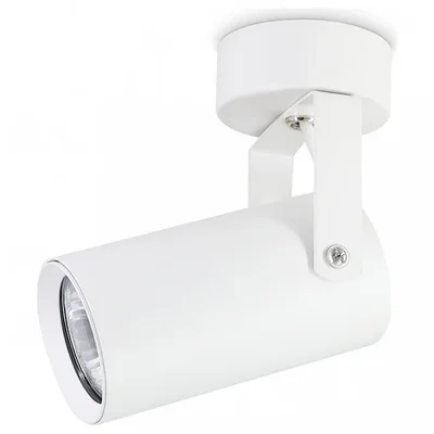 Накладной поворотный спот TA1302 WH белый GU10 max 12W 100*55*165