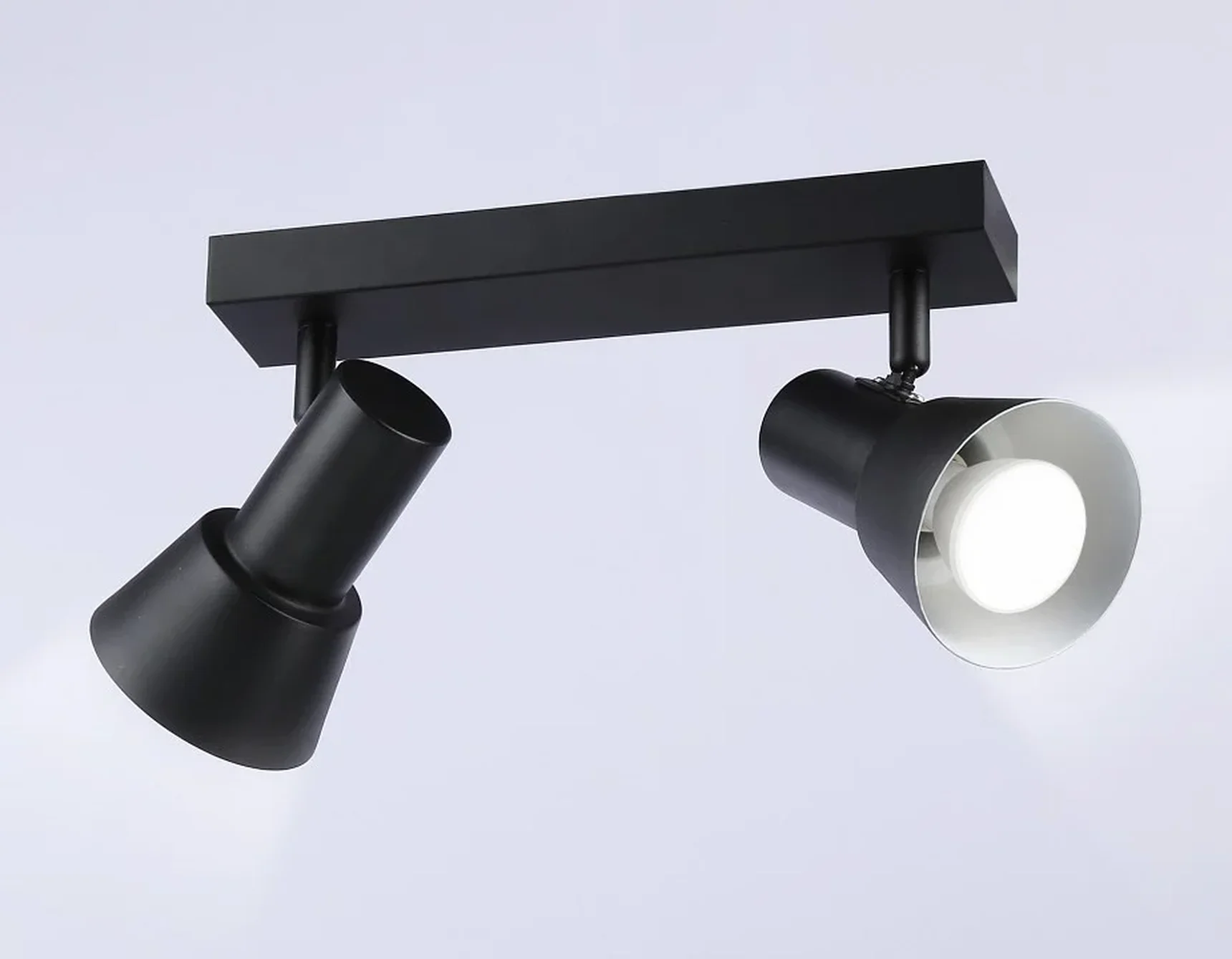 Светильник накладной TA13117/2 BK/WH черный/белый GU10/2 max 12W 350*85*150