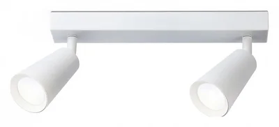 Светильник накладной TA13145/2 WH белый GU10/2 max 12W 295*60*130