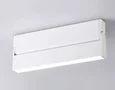 Светильник светодиодный накладной TA1818 WH белый LED 12W 4200K 230*22*87