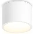 Светильник накладной TN6550 WH белый IP44 GX53 max 15W D82*60