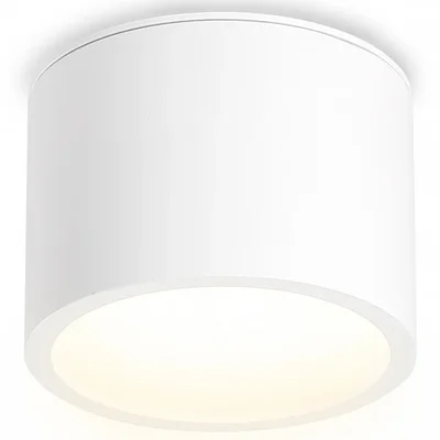 Светильник накладной TN6550 WH белый IP44 GX53 max 15W D82*60