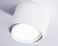 Накладной поворотный светильник TN6805 WH белый GX53 D100*65