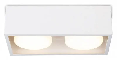 Светильник накладной TN70828/2 WH белый GX53/2 max 12W 200*100*60