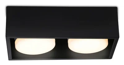 Светильник накладной TN70829/2 BK черный GX53/2 max 12W 200*100*60