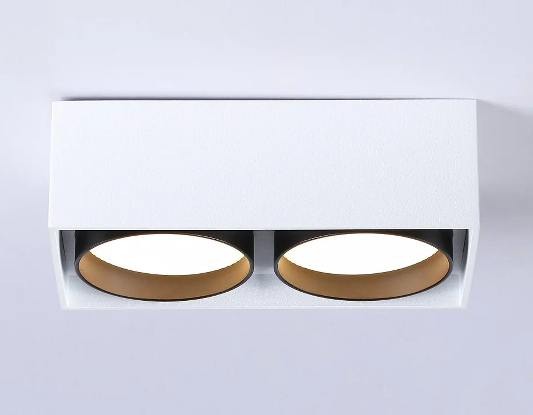 Светильник накладной TN70872/2 WH/BK белый/черный GX53/2 max 12W 185*92*62
