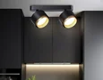 Светильник накладной TN71288/2 BK/GD черный/золото GX53/2 max 12W 270*95*137