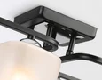 Светильник потолочный TR303222/4 BK/CH/FR черный/хром/белый матовый E27*4 max 60W 530*290*220