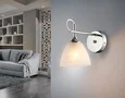Настенный светильник TR3045 CH/FR хром/белый матовый E27 max 40W 215*135*225