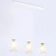Подвесной светильник TR3536/3 WH/CL/FR белый/прозрачный/белый матовый E27*3 max 40W 640*120*820