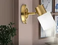 Накладной спот с выключателем TR3967 BS/FR латунь/белый матовый E27 max 40W 140*80*194