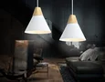 Подвесной светильник в стиле лофт TR8195 WH/LW белый/светлое дерево E27 max 40W D230*935