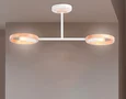 Подвесной светильник со сменной лампой TR8243/2 WH/LWD белый/светлое дерево E27/2 max 40W 590*165*220