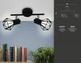 Настенно-потолочный спот в стиле лофт TR8621/2 BK/CH черный/хром E27*2 max 40W 260*91*175