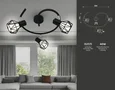 Настенно-потолочный спот в стиле лофт TR8624/3 BK/CH черный/хром E27*3 max 40W D330*175