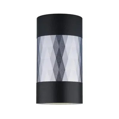 Потолочный светильник Elektrostandard Mizar DLN110 GU10 черный/серебро 4690389148712