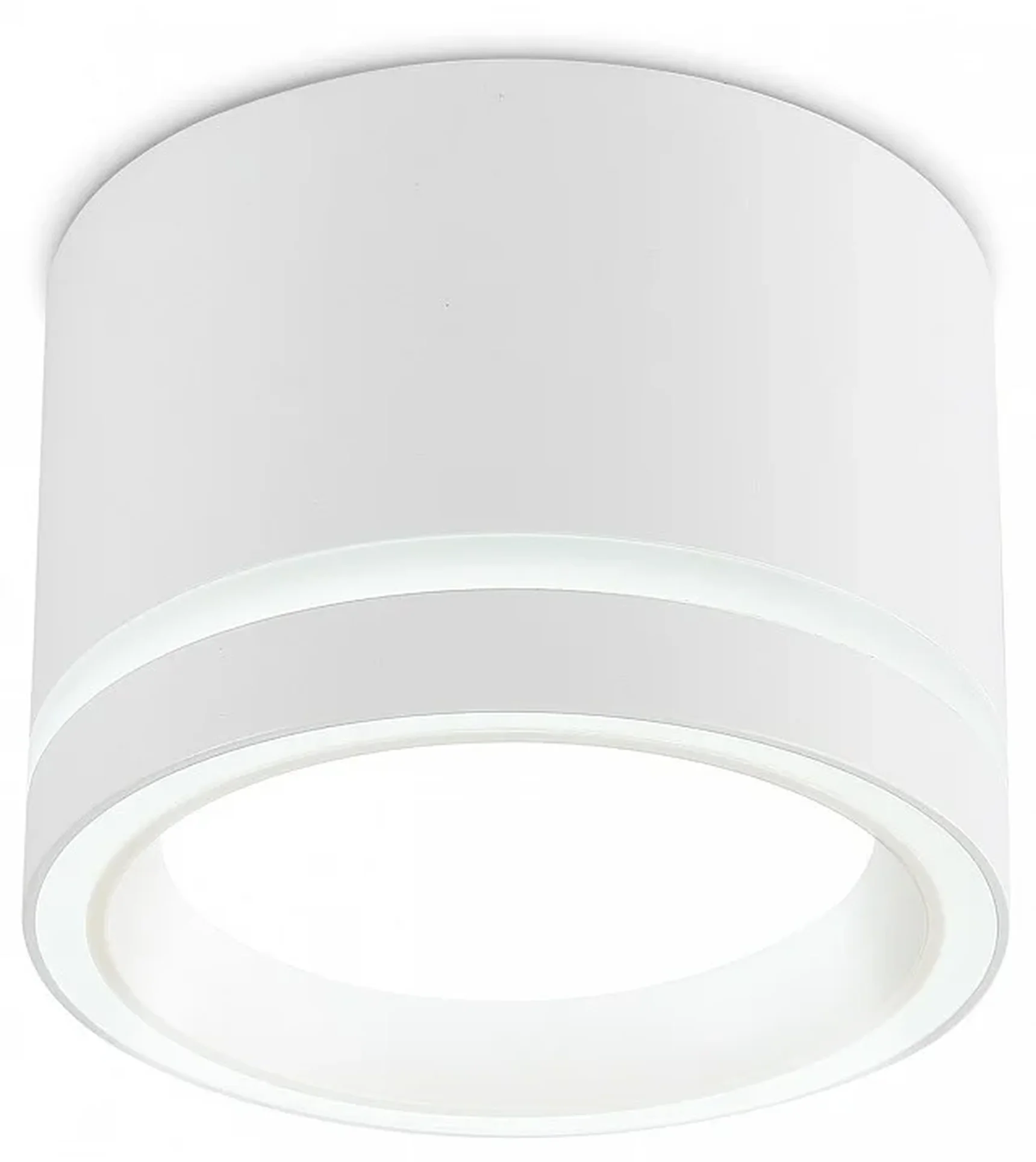 Светильник накладной TU5530 WH белый IP20 GX70 D120*87