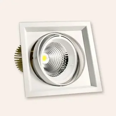 Карданный светодиодный светильник 220 Вольт, 50 Ватт, 12/24/38/60, IP20, FLED-DL 002-50-WH-5000К