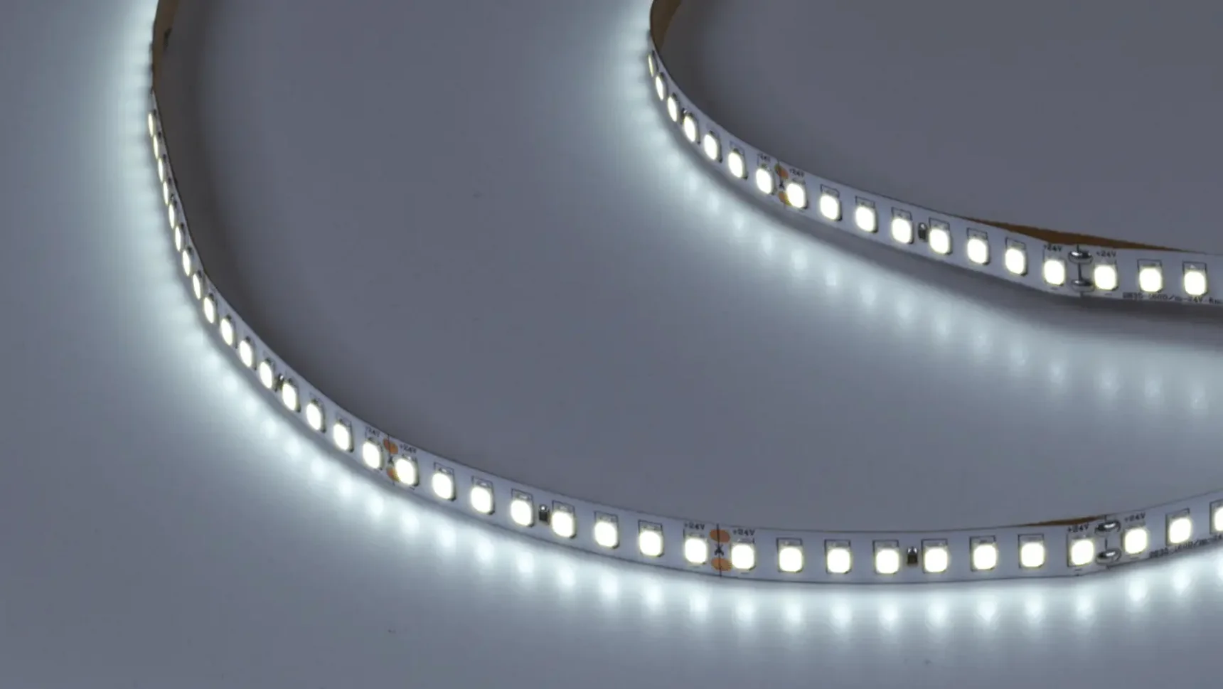 Светодиодная лента SWG PRO 2835, 160 LED/м, 14,4 Вт/м, 24В , IP20, Цвет: Холодный белый, SWG2P160-24-14.4-W