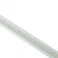 ULI-P33-35W/SPLX IP40 WHITE Светильник для растений светодиодный линейный, 1150мм, выкл. на корпусе. Алюминий. Спектр с дальним красным