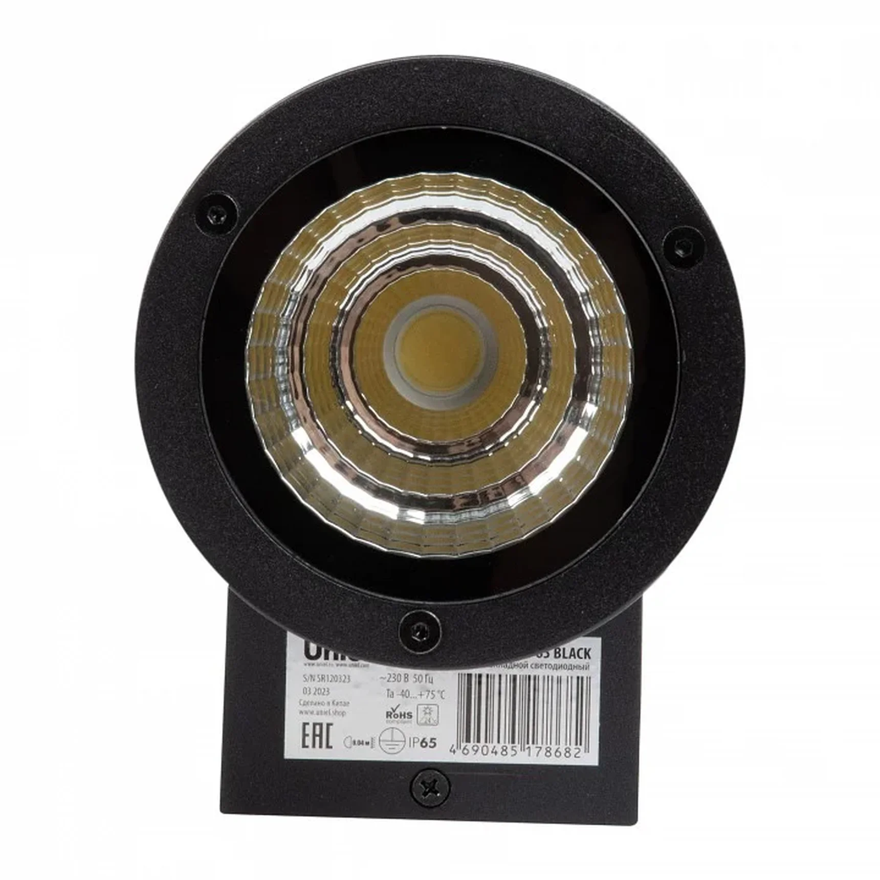 ULU-S21С-12W/6400K IP65 BLACK Светильник светодиодный уличный. Архитектурный накладной. Дневной свет (6400K). Корпус черный