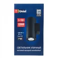 ULU-S22D-2x12W/6400K IP65 BLACK Светильник светодиодный уличный. Архитектурный накладной. Дневной свет (6400K). Корпус черный