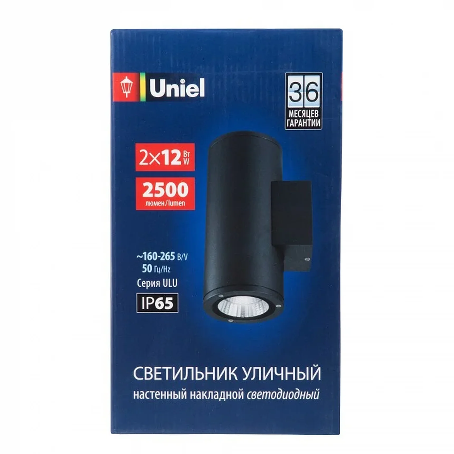 ULU-S22D-2x12W/6400K IP65 BLACK Светильник светодиодный уличный. Архитектурный накладной. Дневной свет (6400K). Корпус черный