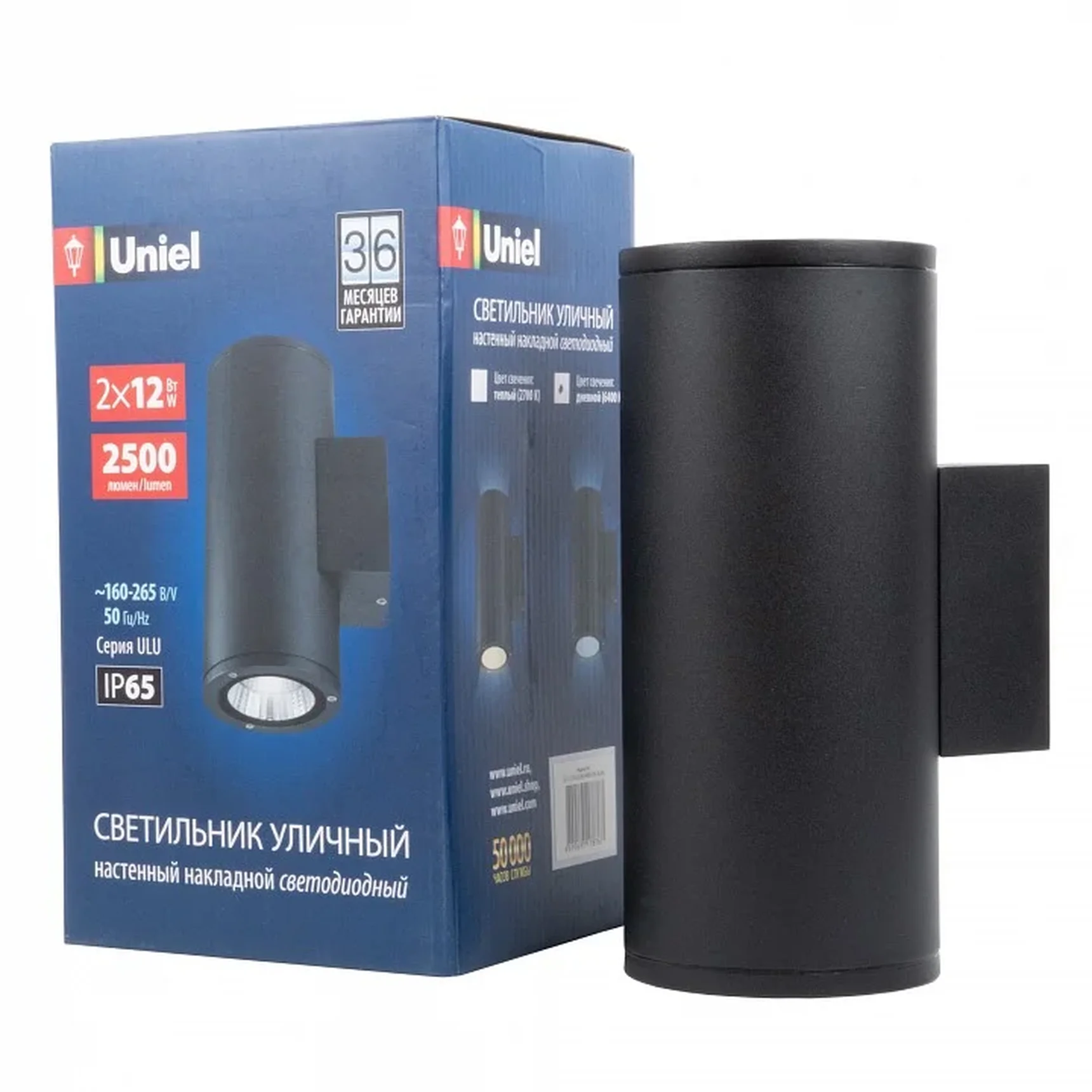 ULU-S22D-2x12W/6400K IP65 BLACK Светильник светодиодный уличный. Архитектурный накладной. Дневной свет (6400K). Корпус черный