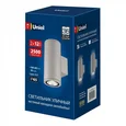 ULU-S22D-2x12W/2700K IP65 LIGHT GREY Светильник светодиодный уличный. Архитектурный накладной. Теплый белый свет (2700K). Корпус светло