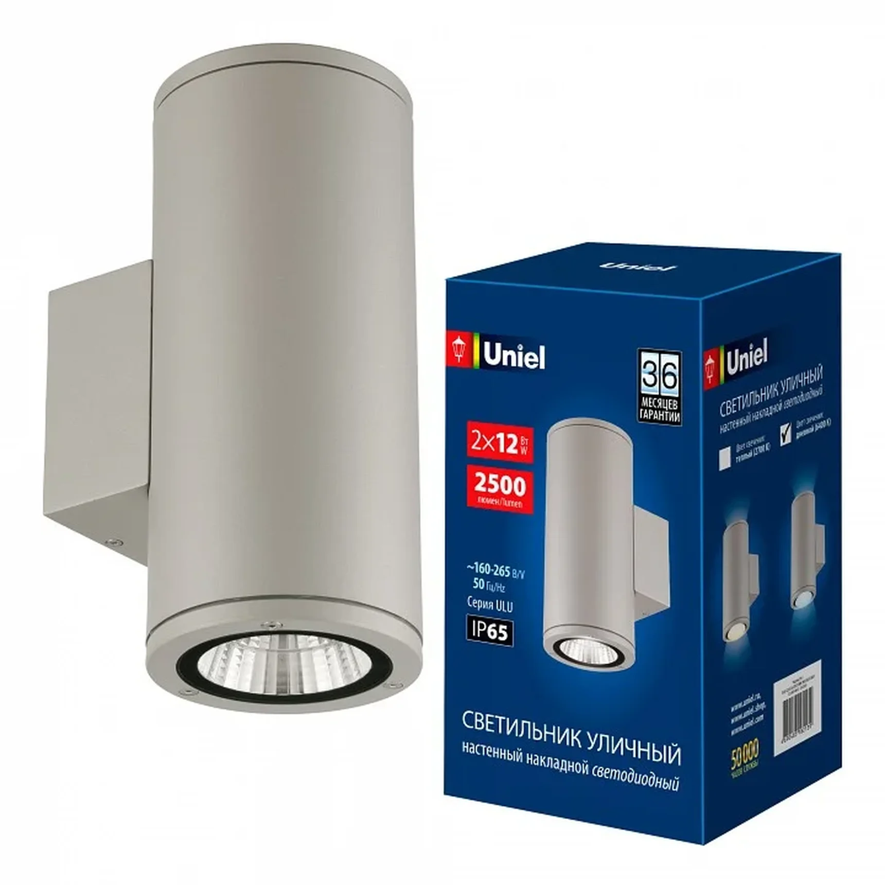 ULU-S22D-2x12W/6400K IP65 LIGHT GREY Светильник светодиодный уличный. Архитектурный накладной. Дневной свет (6400K). Корпус светло-серы