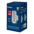 ULU-S22D-2x12W/6400K IP65 LIGHT GREY Светильник светодиодный уличный. Архитектурный накладной. Дневной свет (6400K). Корпус светло-серы