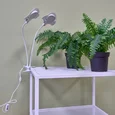 ULT-P35M-15W/SPLE/TM IP40 WHITE LEAF Светильник для растений светодиодный с таймером, на прищепке. Спектр для фотосинтеза