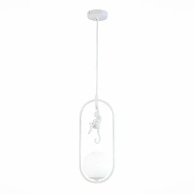 Подвесной светильник Evoluce Tenato SLE115123-01