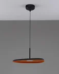 Светильник подвесной светодиодный Moderli V11605-PL Agato