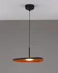 Светильник подвесной светодиодный Moderli V11605-PL Agato