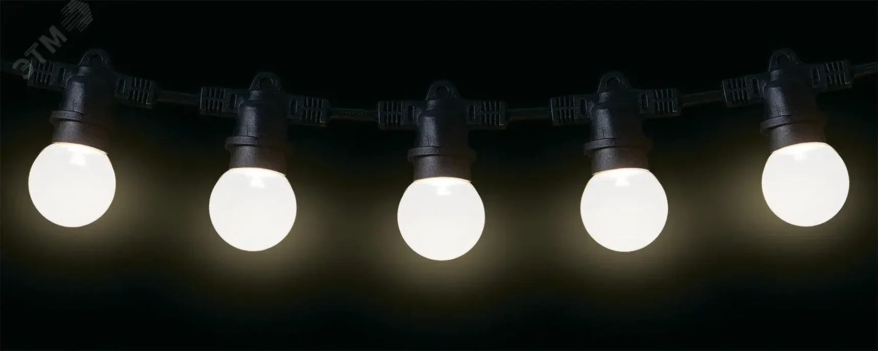 Гирлянды «Белт-лайт» PBL-S60, 5040588