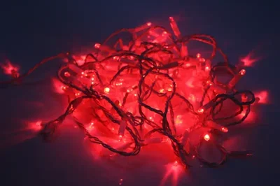 LED-PLR-192-20M-24V-R/W-W/O(Wire 2.3mm), красный/белый провод, соед. (без шнура)24В(Новый коннектор)