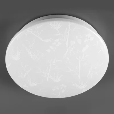 Светильник светодиодный General Plant GSMCL-020-18, 800260, 1170Лм, холодный белый