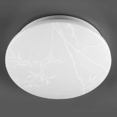 Светильник светодиодный General Reed GSMCL-019-12, 800256, 780Лм, холодный белый