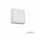 Настенно-потолочный светильник iLedex Creator X068116 16W 6000K Белый