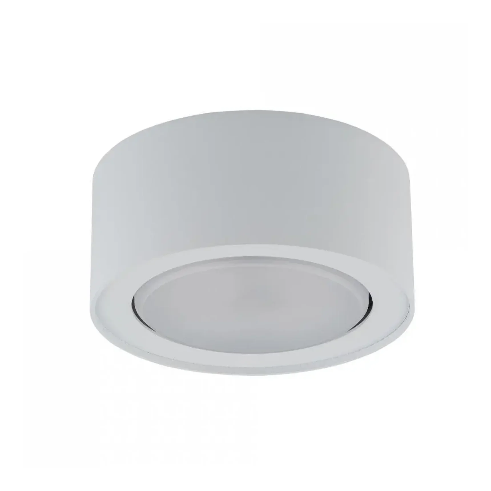 Потолочный светильник Nowodvorski Flea 8202