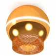 Комплект накладного светильника XS1105020 PYG/CF золото желтое полированное/кофе MR16 GU5.3 LED 3W 4200K (C1105, N7195) (C1105 - 1шт, N