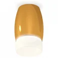 Комплект накладного светильника XS1125023 PYG/FR золото желтое полированное/белый матовый MR16 GU5.3 (C1125, N7177) (C1125 - 1шт, N7177