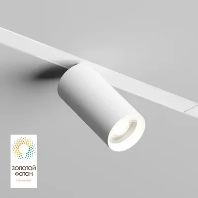 Трековый светильник Denkirs DK8020-WH